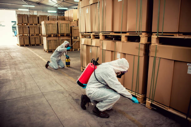 Best Pest Control for Businesses  in South Huntington, NY