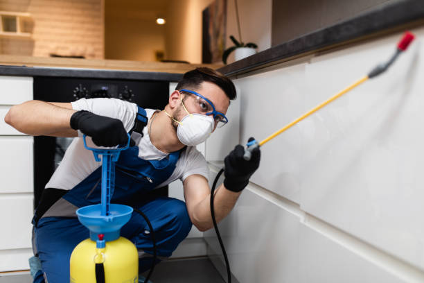 Best Best Pest Control Companies  in South Huntington, NY