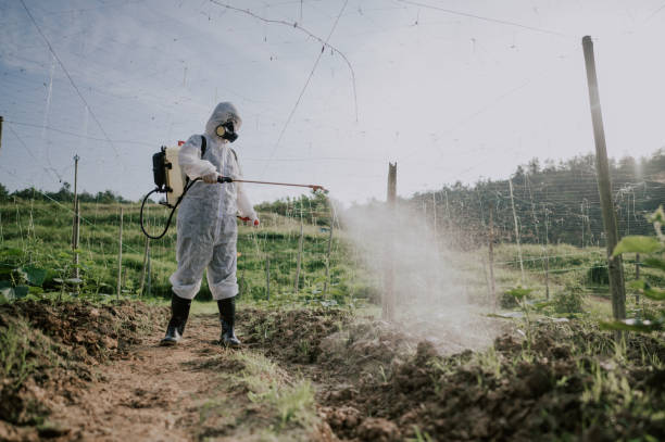 Best Ant Control Services  in South Huntington, NY