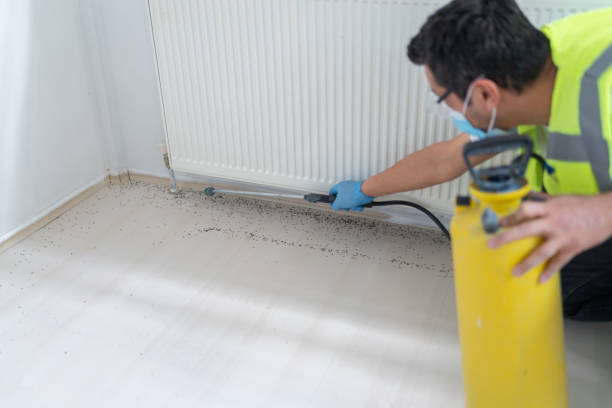 Best Residential Pest Control  in South Huntington, NY