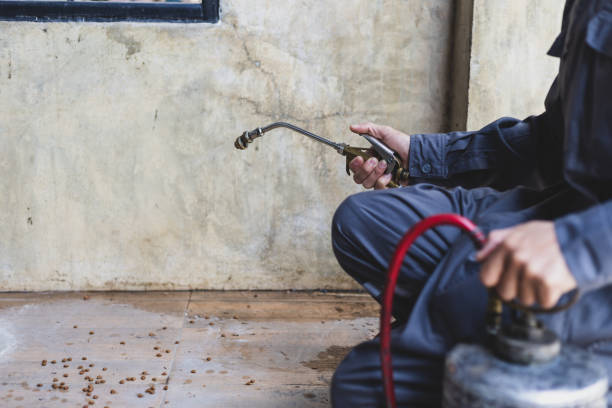 Best Termite Control Services  in South Huntington, NY